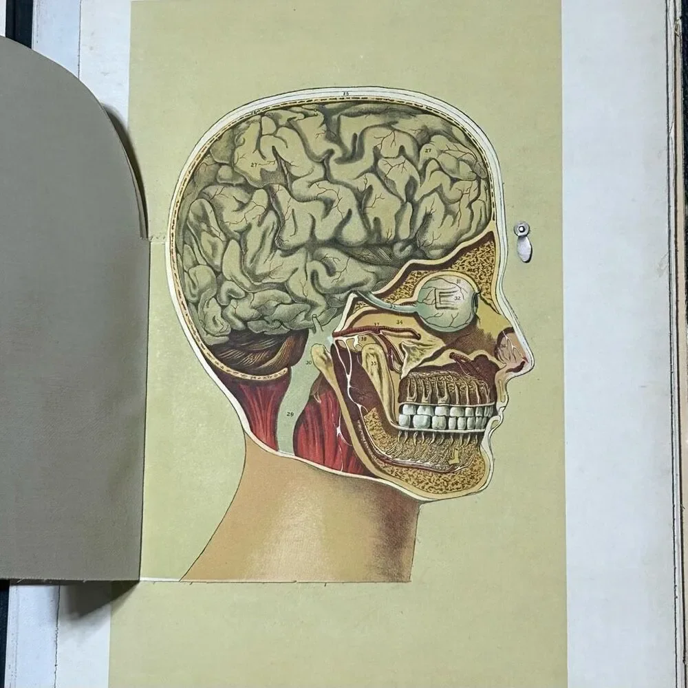 Vtg Western Publishing Nurses/Physician's Anatomical Aid by Ira E. Bunn & Co.